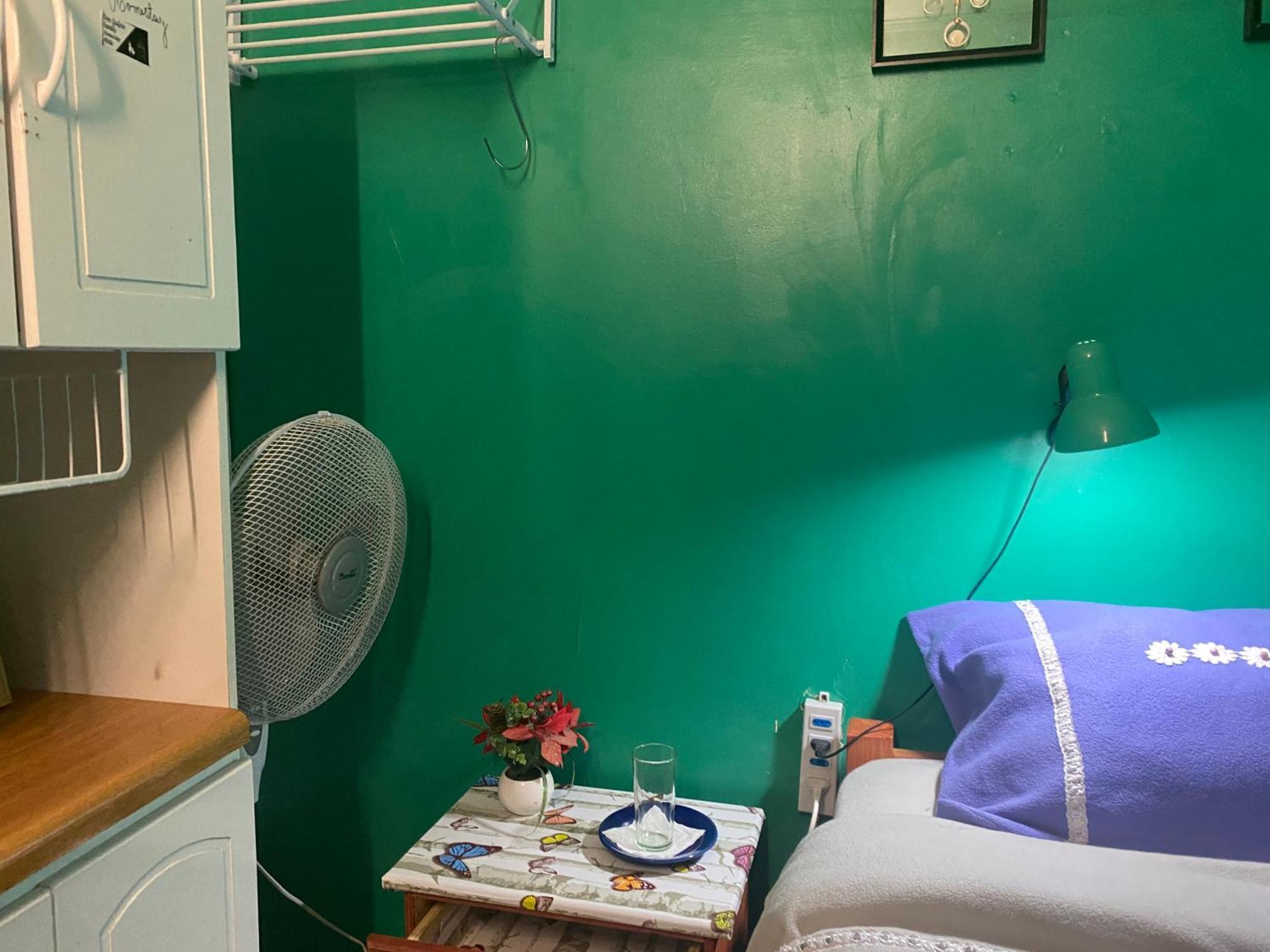 Don Quijote Family Homestay ซานติอาโก ภายนอก รูปภาพ